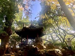 -秋霞圃