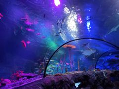 -沈阳海洋探索中心