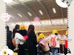 -杨梅红艺术教育(西安高新唐延教学中心)