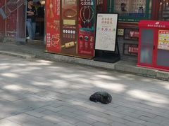 -潭柘寺景区