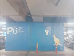 -虹桥综合交通枢纽-P6停车库