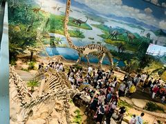 -自贡恐龙博物馆