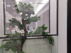 -小八仙·宴(三峡茶庄店)