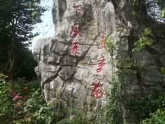 -鹅湖玫瑰文化园