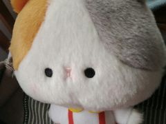 -LLJ夹机占(正佳广场店)