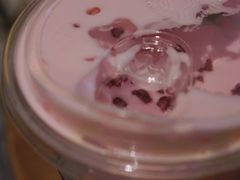 落樱飘雪冷萃CCFCB-星巴克(新达汇三林店)