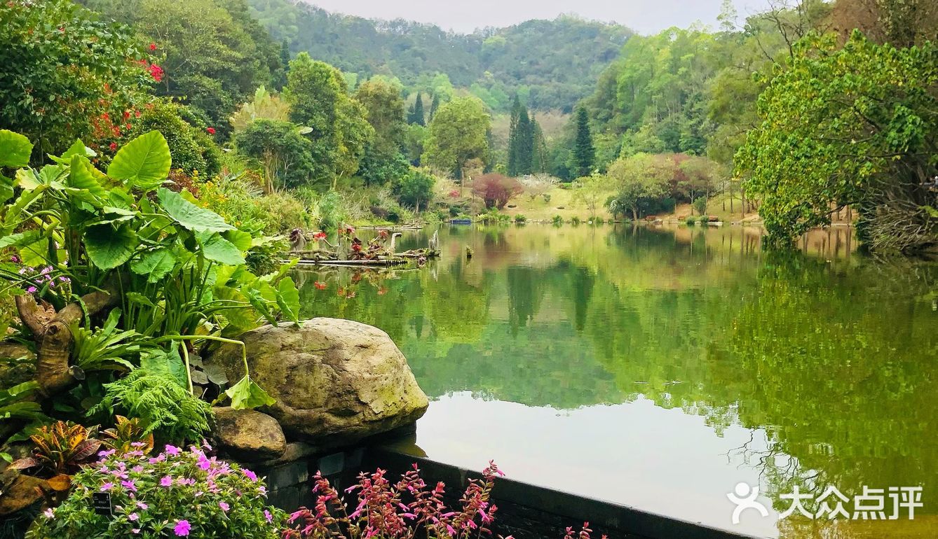 深圳春日美食&游玩｜带上这家面包店的奶油面包去仙湖野餐吧！
