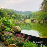 深圳春日美食&游玩｜带上这家面包店的奶油面包去仙湖野餐吧！
