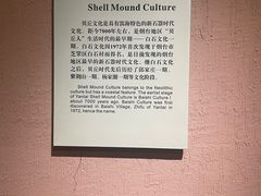 -烟台市博物馆