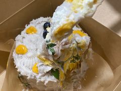-野草莓自由市场