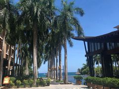 -亚龙湾红树林度假酒店御粤阁