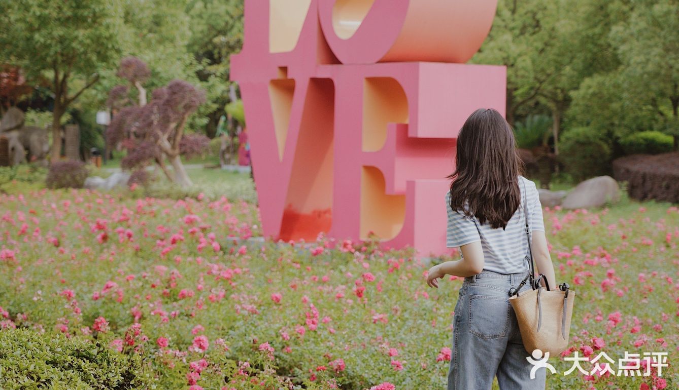 江浙沪周边游🐯宁波雅戈尔动物园互动全攻略