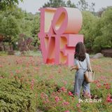 江浙沪周边游🐯宁波雅戈尔动物园互动全攻略