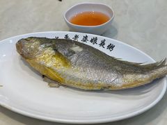 -长平老姿娘夜粥(平东一街店)
