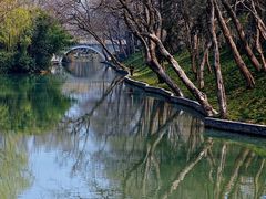 -扬州大运河文化旅游度假区·盆景园