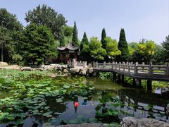 -晋祠公园