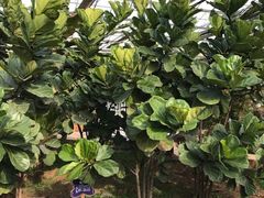 -龙达温泉生态城