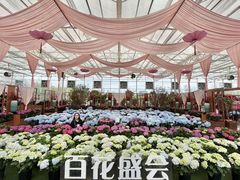 -盈香心动乐园