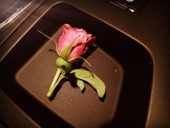 密云玫瑰情园-密云玫瑰情园