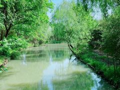 -同里国家湿地公园