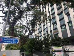 -达士岭