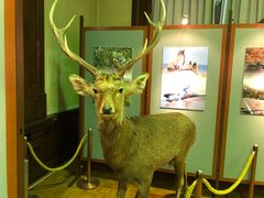 -北海道厅旧本厅舍(旧本庁舎)