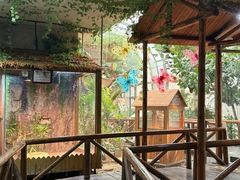 -上海大自然野生昆虫馆(东方明珠·爬宠昆虫探索中心)