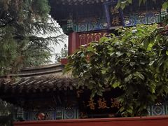 -洛阳白马寺