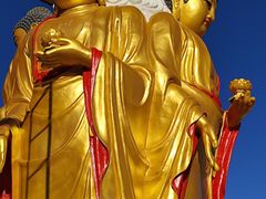 -长虫山生态公园风景林