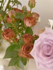 -弗蕾亚·和月月子调理院(东湖店)