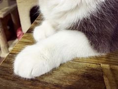 -小时光咖啡馆(开森度假森林店)