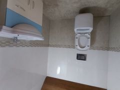-金山农民画村-枫泾波兰倒置屋