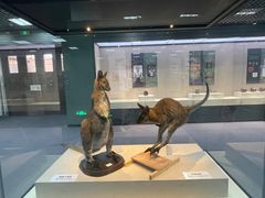 -国家自然博物馆