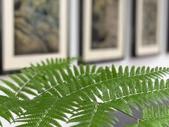 -幽篁里古琴制作中心