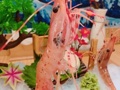 -鲔屋寿喜烧