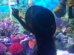-暹罗海洋世界