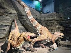 -辽宁古生物博物馆