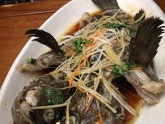 -顺德小院私房菜馆