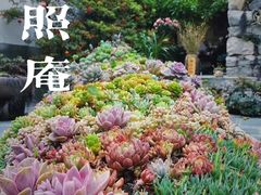 -寂照庵