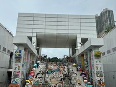 -九龙公园