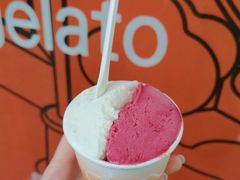 -Dip in Gelato(富民路店)