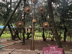 -北海金海湾红树林生态旅游区