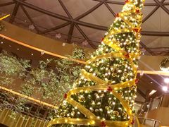 -上海滴水湖皇冠假日酒店