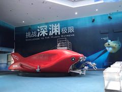 -上海海洋大学(临港校区)