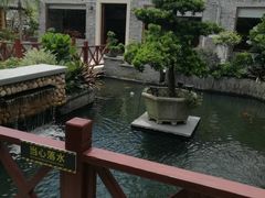 -顺德了能馆(虎门店)