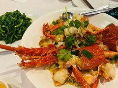 -食为先(Shark Fin)