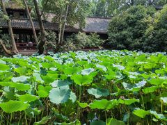 -成都武侯祠博物馆