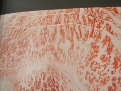 -龙福成肥牛火锅(文昌店)