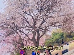 -吉林大学(南岭校区)