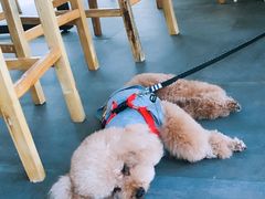 -沙青(江场二路店)